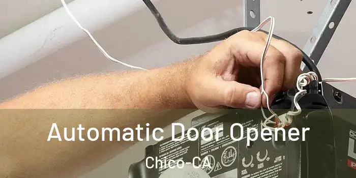  Automatic Door Opener Chico-CA