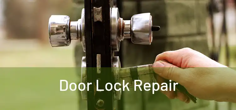 Door Lock Repair