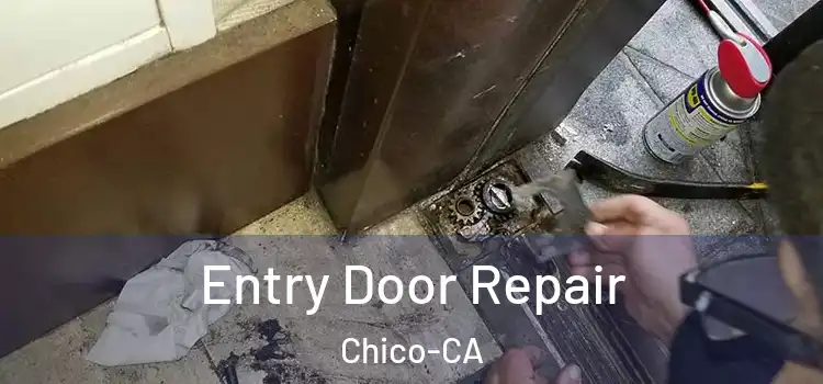  Entry Door Repair Chico-CA