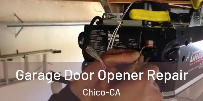 Garage Door Opener Repair Chico-CA