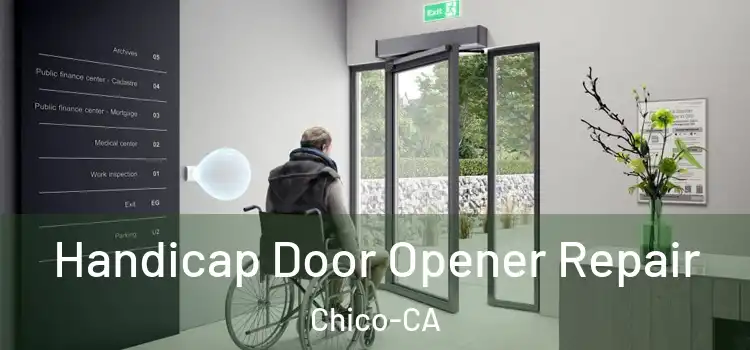  Handicap Door Opener Repair Chico-CA