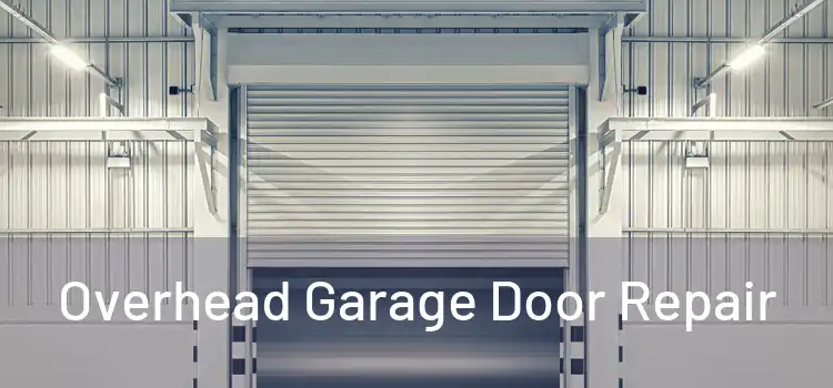  Overhead Garage Door Repair 